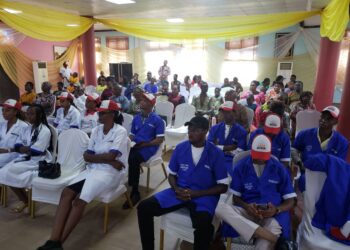 ASPHCDA Boss reiterates government’s free antenatal services