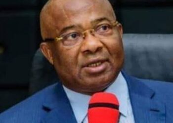 Uzodimma has confiscated our farmlands for RUGA habitation – Imo Community