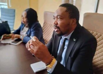 Anambra Health Commissioner cautions health workers against abuse of free antenatal, child delivery