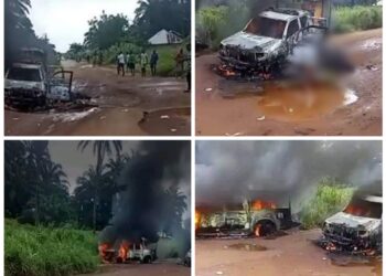 Sad Day in Imo As Gunmen kills security Officers, sets Patrol Vans on fire