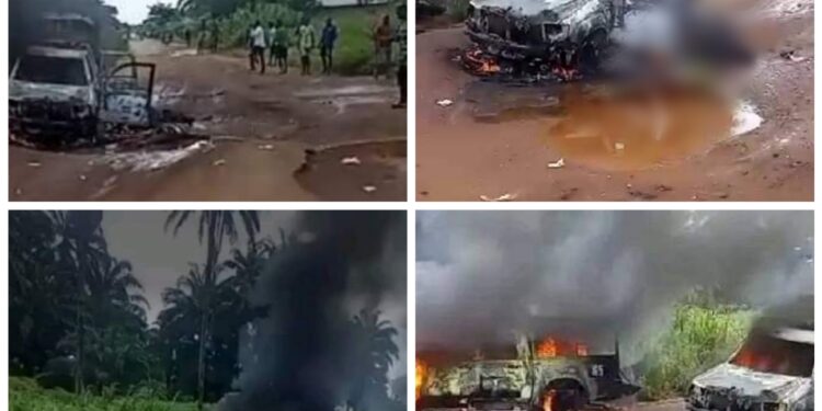 Sad Day in Imo As Gunmen kills security Officers, sets Patrol Vans on fire