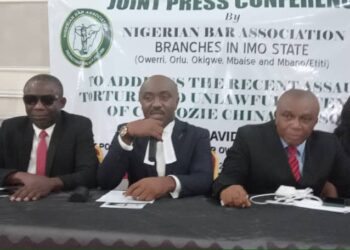 Lawyers decry brutality, torture, unlawful detention by police in Imo