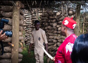 Ndigbo, known for resilience, stoicism, not Kidnappers — Soludo declares