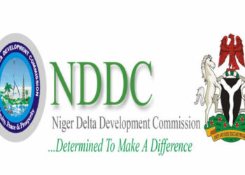 NDDC As A Narrative With Many Perspectives