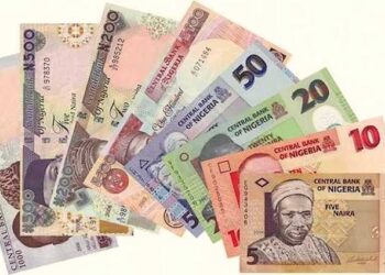 The Continuous Fall of the Naira Currency: Who can save the Naira?