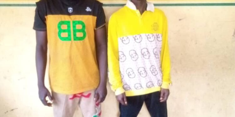 Two Men have been arrested by the police in Ogun State for stealing a truck belonging to the Dangote Cement Factory in Ibese.