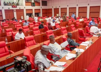 Sen Nwoye begins process to include Anambra into NDDC Oil Producing State