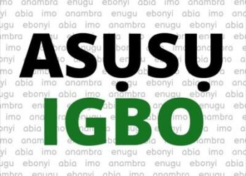 Make Igbo language compulsory subject, criteria for employment, INC Tells South East Legislators