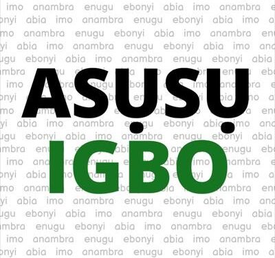 Make Igbo language compulsory subject, criteria for employment, INC Tells South East Legislators
