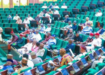 Service chiefs shun Reps sectoral debate
