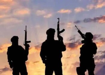 Gunmen kill 2 Police officers, injure one in Ebonyi 