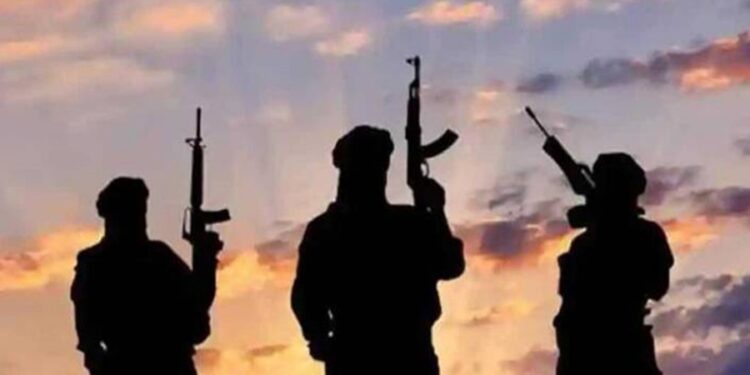 Gunmen kill 2 Police officers, injure one in Ebonyi 