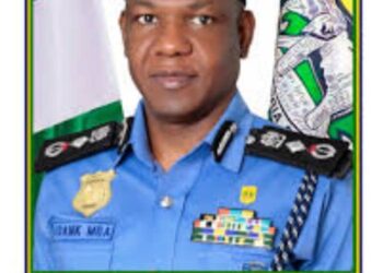 Imo Guber: DIG Mba charges Election Observers on Fact checking 