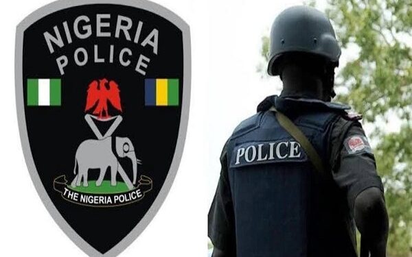 Police debunk attack, killing of officers in Imo