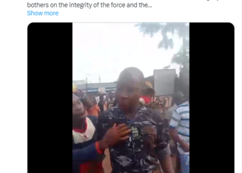 Police to probe officer accused of ballot snatching in Imo election