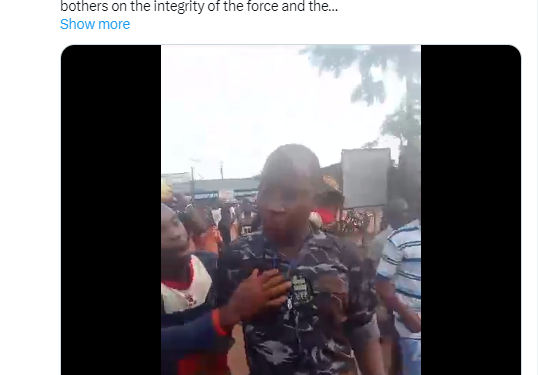 Police to probe officer accused of ballot snatching in Imo election