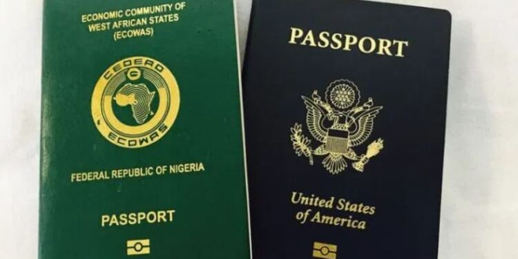 The economics of the ‘Japa’ phenomenon