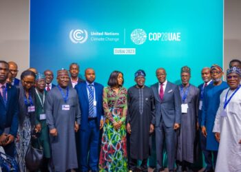 COP28: Triple renewable energy endorsement and Nigeria’s green economy initiative