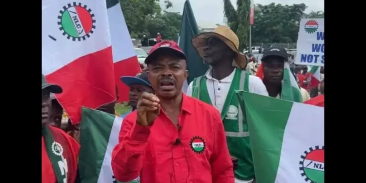 NLC demands policy reversal over TCN privatization