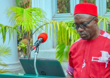 Soludo to establish Electricity Market