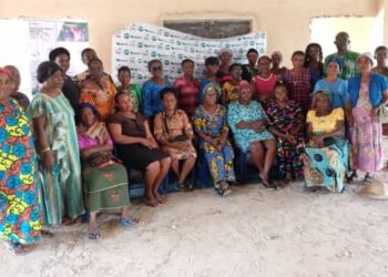 Grow, consume biofortified with Vitamin A foods – X-Gems Group tells women.