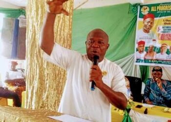 APGA Youth Summit : stakeholders seek active inclusiveness of youths to nation building