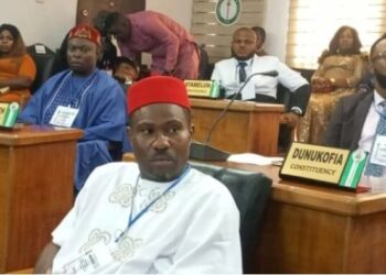 Anambra Assembly summons officials over alleged killing by Anti-Tout Squad