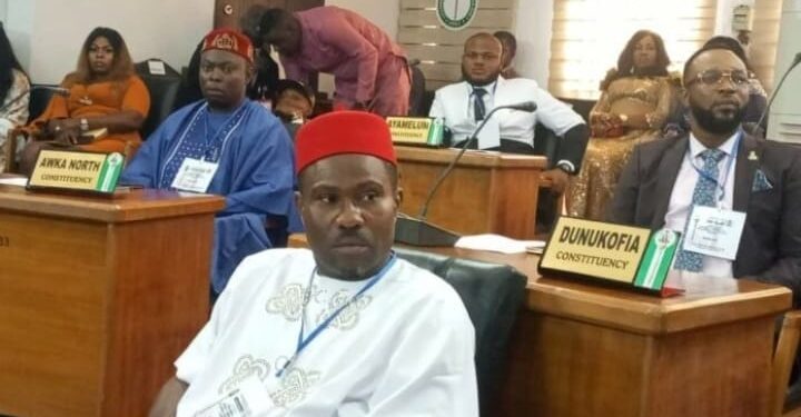 Anambra Assembly summons officials over alleged killing by Anti-Tout Squad