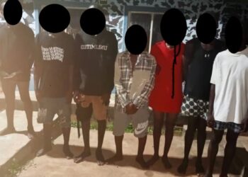 In Anambra, police nab 7 suspected cultist recover 1 barrel gun, tricycle, drugs