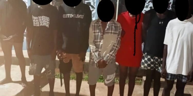 In Anambra, police nab 7 suspected cultist recover 1 barrel gun, tricycle, drugs