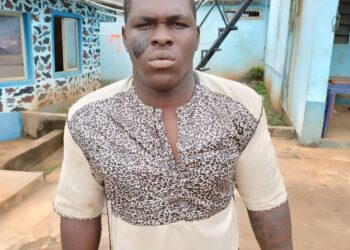 Anambra Police arrest most wanted armed robber, cultist, 