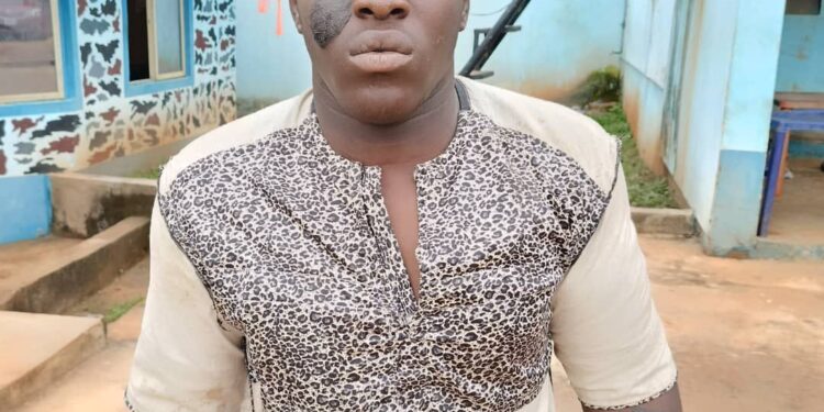 Anambra Police arrest most wanted armed robber, cultist,