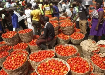 Mile 12 Market Chairman attributes over 500 per cent surge in tomato, pepper prices to insecurity