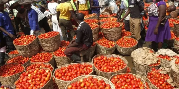 Mile 12 Market Chairman attributes over 500 per cent surge in tomato, pepper prices to insecurity