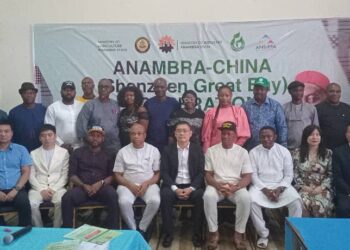 Anambra-China Shenzhen Great Bay Cooperation” an investment plan for Ndi Anambra