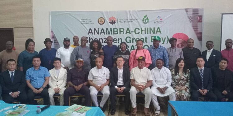 Anambra-China Shenzhen Great Bay Cooperation” an investment plan for Ndi Anambra