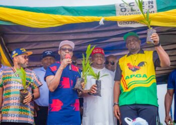 Anambra Govt distributes over 1m seedlings towards sustainable economic revolution