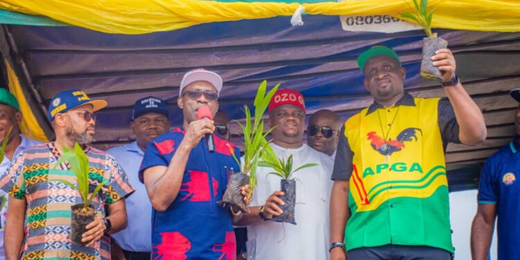 Anambra Govt distributes over 1m seedlings towards sustainable economic revolution