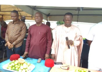 Anambra Local Govt election; we will not partake in the process – APC
