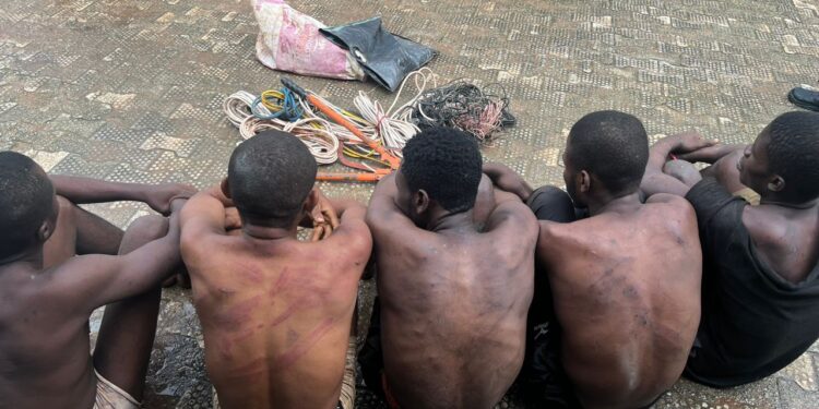 In Anambra, 8 suspects in police custody for kidnapping, cultisim, illegal possession of firearms
