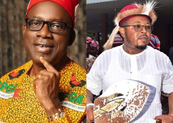 Dike Udo Mbaukwu Hails Governor Soludo On Implementation Of New Minimum Wage, Extension of Free tution to SS3 Students