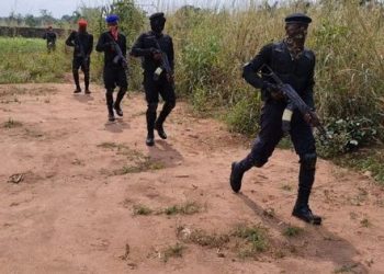 You are formidable, doing the job well, IPOB tells ESN.