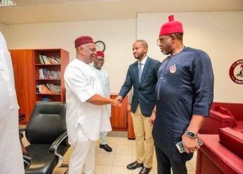 Senate confirms ANISPPA Boss, Mark Okoye, Others for SEDC, NWDC