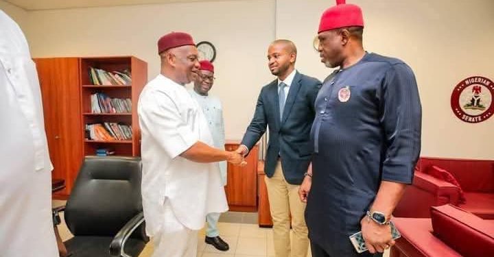 Senate confirms ANISPPA Boss, Mark Okoye, Others for SEDC, NWDC