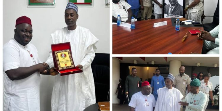 NANS Southeast appeals to EFCC to recruit fresh Graduates