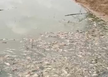 Fish Pond Crisis: Umuoba Anam Seeks Soludo’s Intervention, End to Violent Attacks by Aguleri Youths