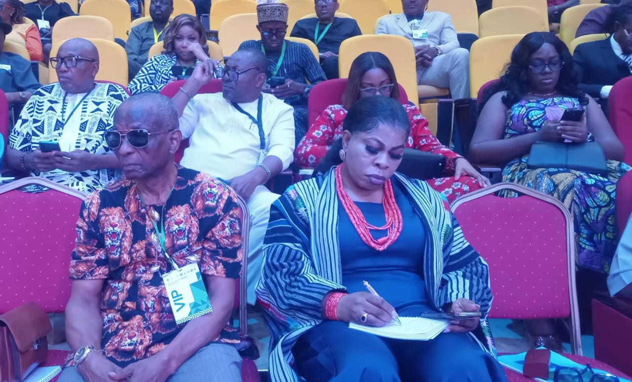 Southeast Vision 2050: Prioritise Renewal Energy, Shared Industrial Infrastructure - MAN Tells Tinubu