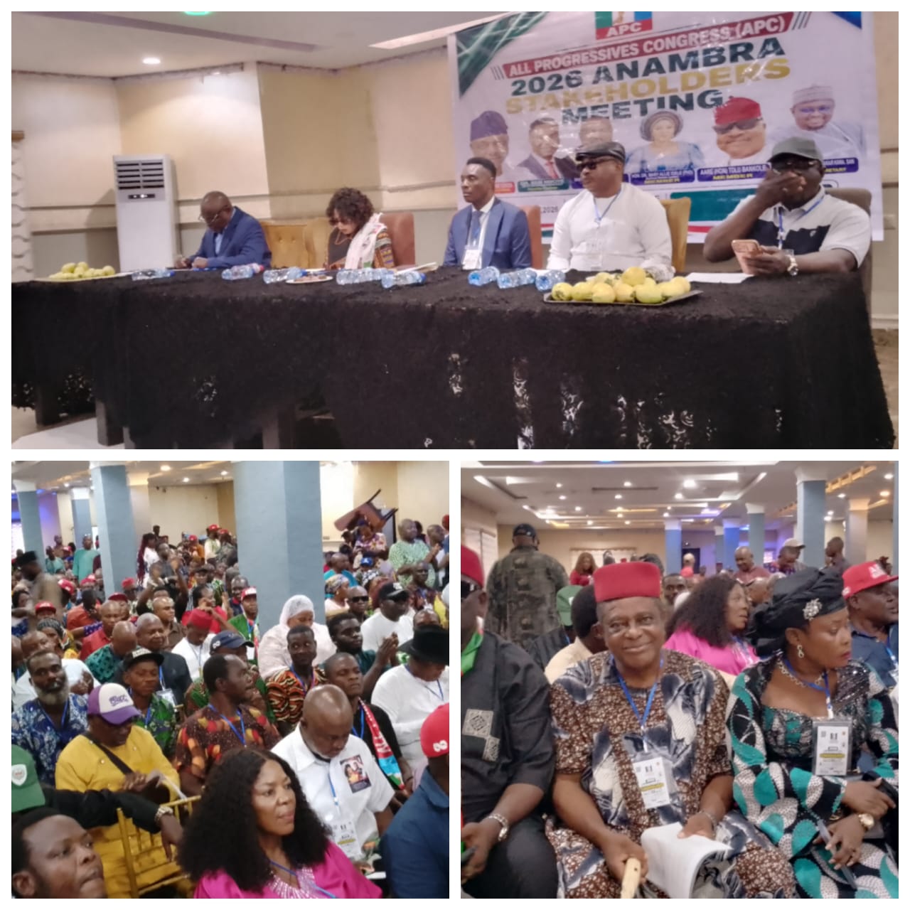 NWC Reaffirms Anosike as Chairman APC anambra