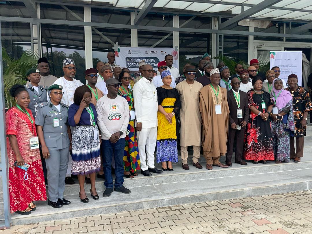 Nigeria Moves to Validate National Cashew Roadmap